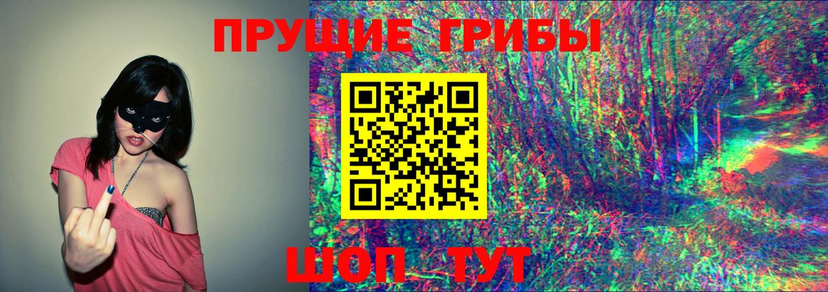 Псилоцибиновые грибы GOLDEN TEACHER Зима